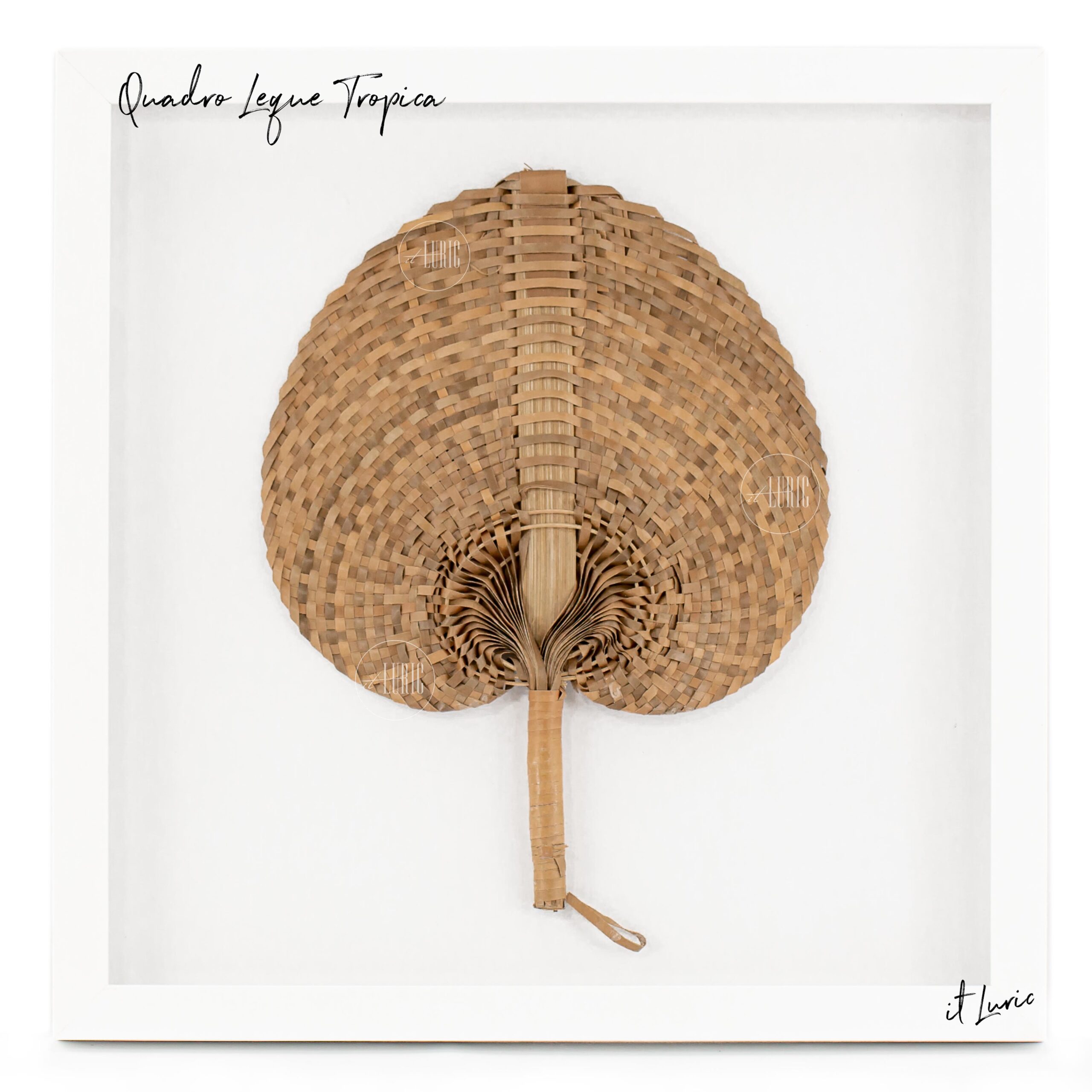 Quadro Leque Tropica -P 1 Quadro Leque Tropica -P (3)