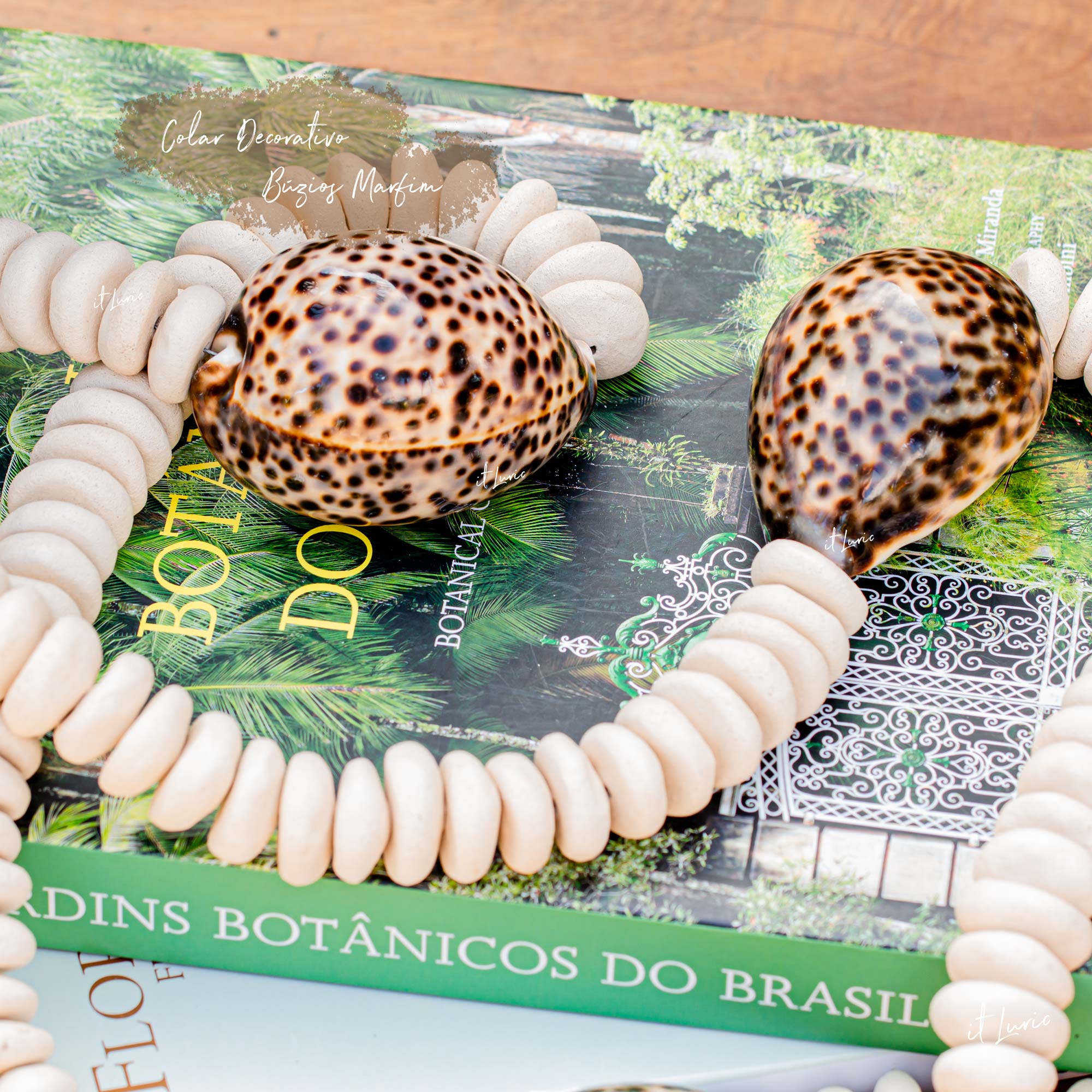 COLAR DECORATIVO BÚZIOS MARFIM (4)