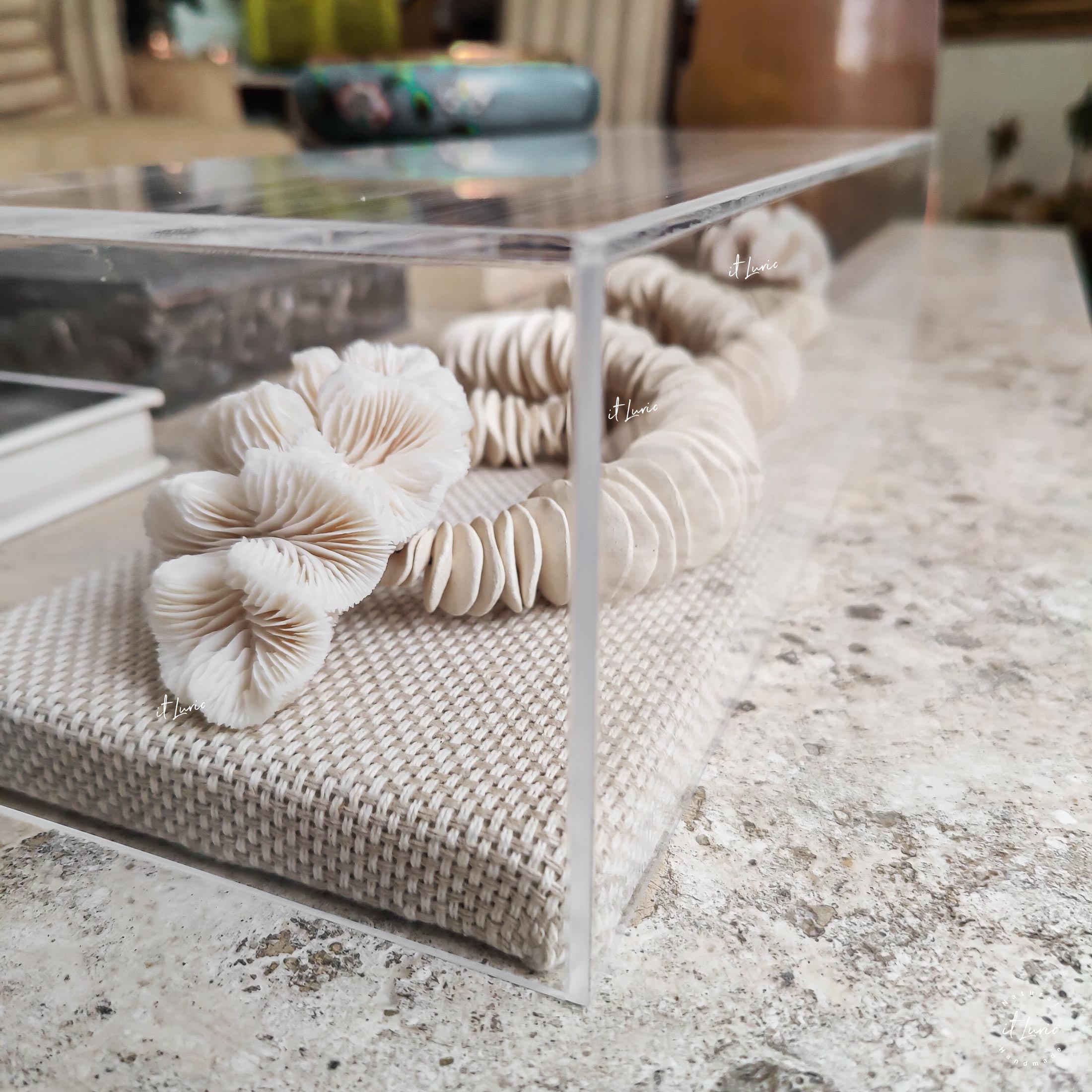 Cúpula Acrílica com Colar Cerâmica Orgânica Branca e Corais