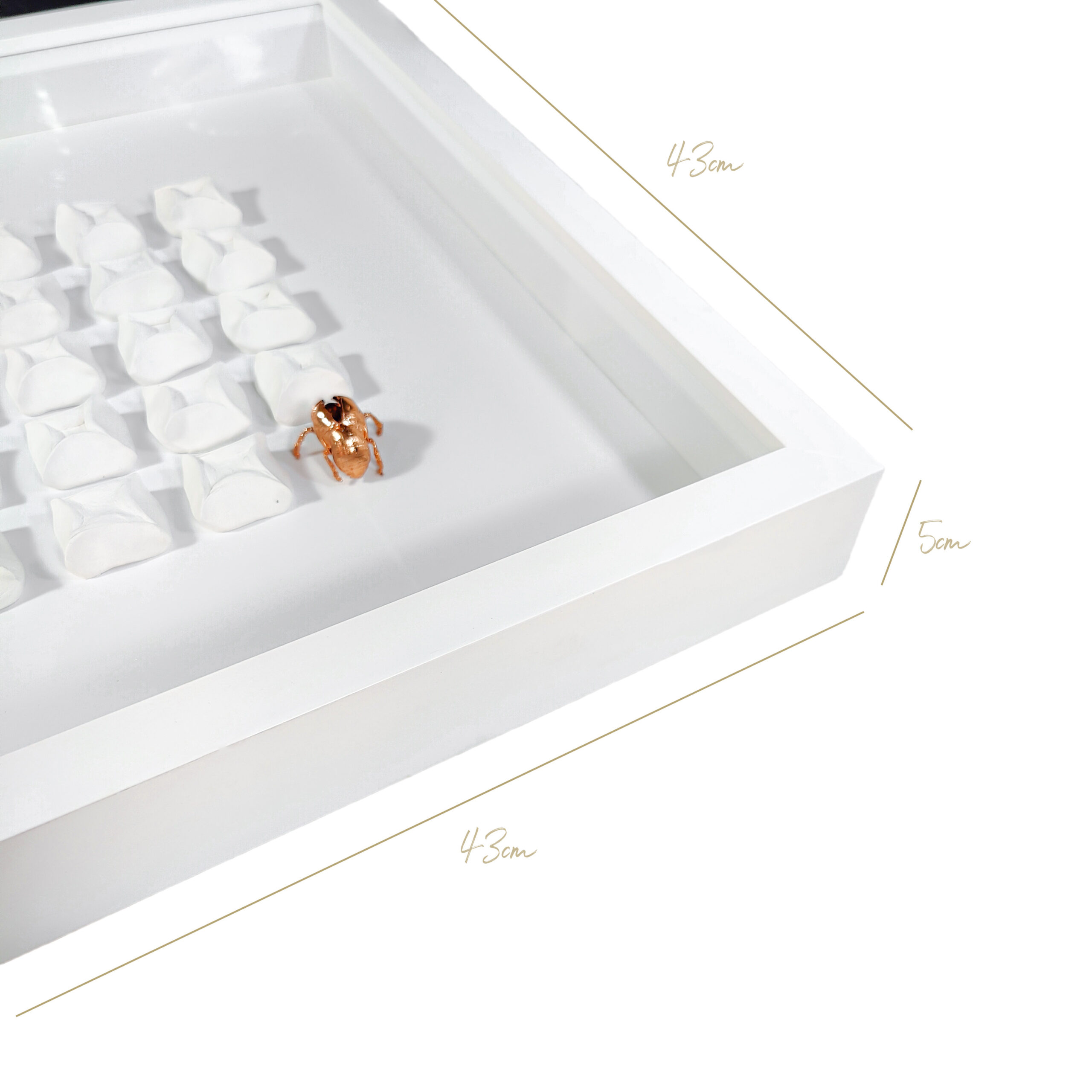 Quadro Cigarra em porcelana com Detalhe Banhado em Cobre Dourado